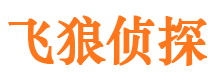 中方外遇调查取证